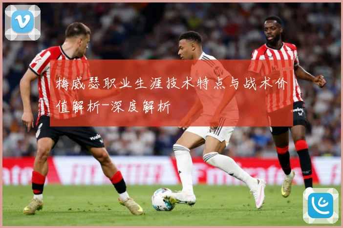 梅威瑟职业生涯技术特点与战术价值解析-深度解析