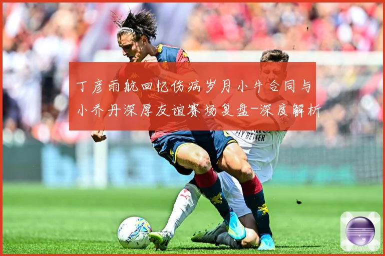 丁彦雨航回忆伤病岁月小牛合同与小乔丹深厚友谊赛场复盘-深度解析