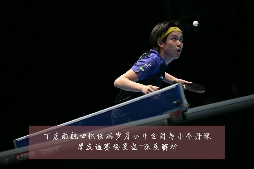 丁彦雨航回忆伤病岁月小牛合同与小乔丹深厚友谊赛场复盘-深度解析
