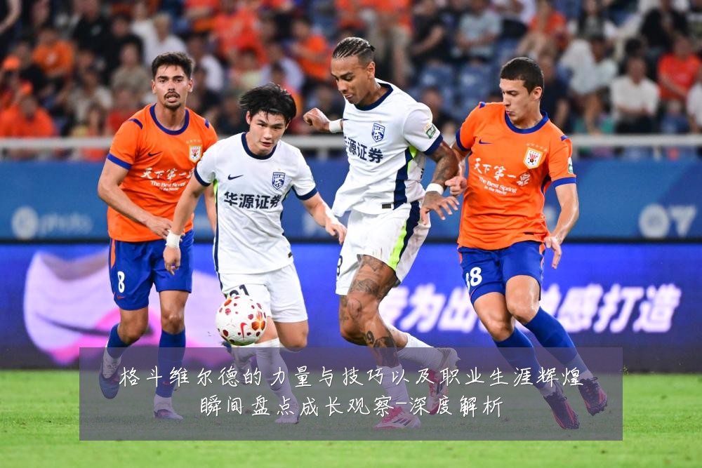 格斗维尔德的力量与技巧以及职业生涯辉煌瞬间盘点成长观察-深度解析